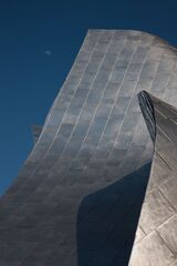 Walt Disney Concert Hall LA CA 15