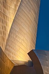 Walt Disney Concert Hall LA CA 16